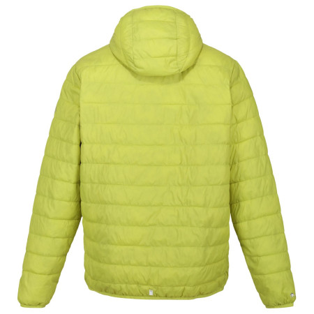Regatta Hooded Hillpack férfi télikabát