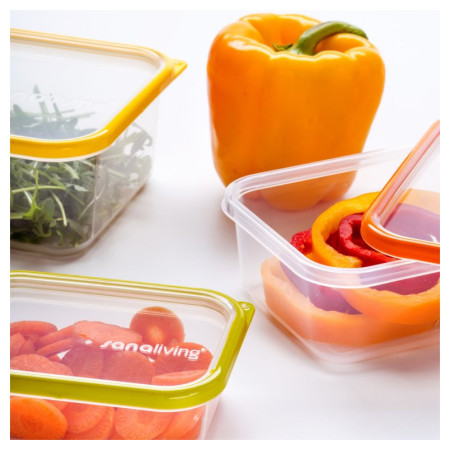 Uzsonnás doboz Omada Sanaliving Box Set 3x 19x14x9cm/1,3L