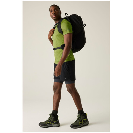 Regatta Fingal Edition férfi póló