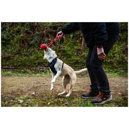 Mountain Paws Ball Chew Rope Dog Toy játékszer kutyáknak