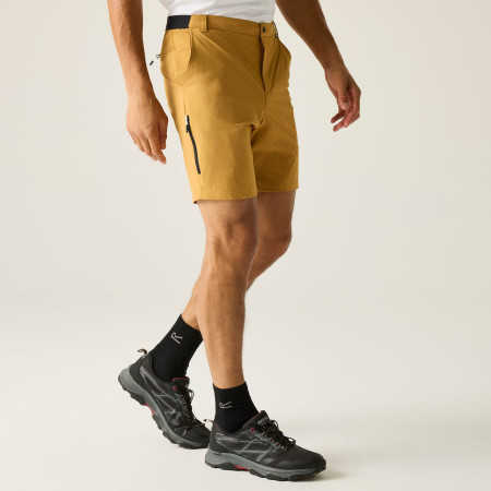 Regatta Anti-Insect Travel Light Shorts férfi rövidnadrág