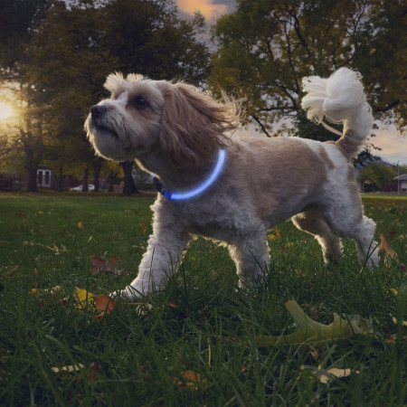 Nite Ize NiteHowl® Rechargeable LED Safety Necklace világító kutyanyakörv