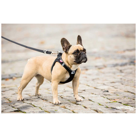 Curli Adjustable Leash Nylon kutyapóráz