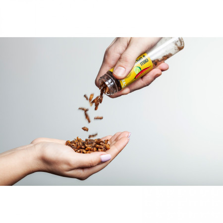 Sens Ropogós & pörkölt tücsök Chili & lime ehető tücsök