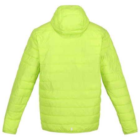 Regatta Hooded Hillpack férfi télikabát