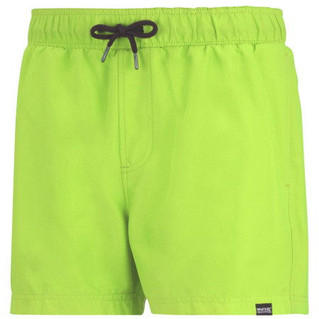 Regatta Mawson Swim Shorts III férfi fürdőnadrág