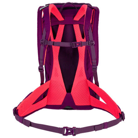 Salewa Alp Trainer 20 Ws hátizsák