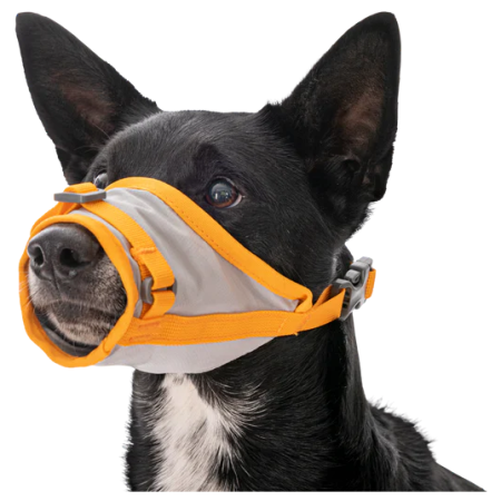 Ruffwear BackTrak™ Dog Evacuation Kit kutyahám