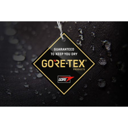 Férfi cipő Salewa Ms Mtn Trainer Lite Gtx