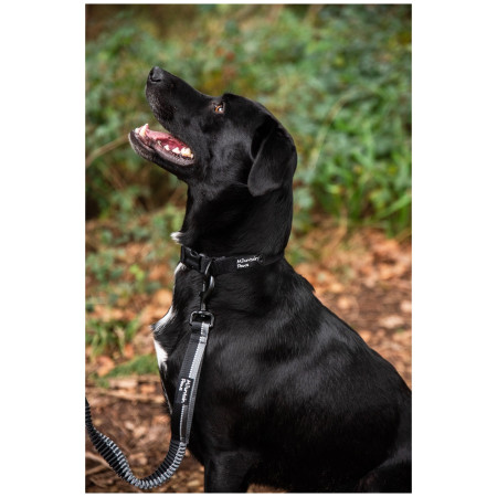 Mountain Paws Extra Tough Dog Collar kutyanyakörv