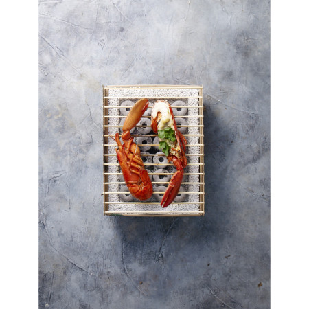 CasusGrill Ökológiai grill egyszer használatos grill