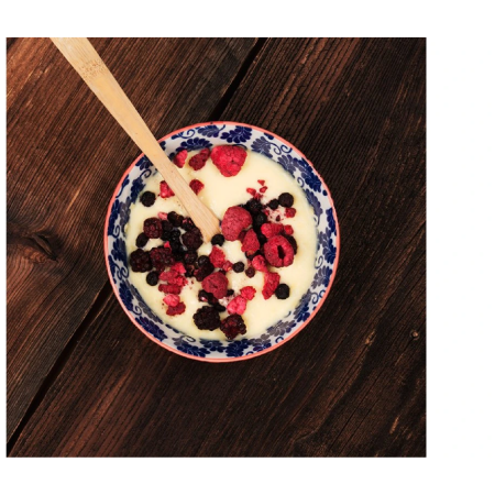 Lyo food Crema Catalana desszert