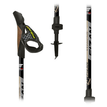 Fizan R-Evolution Pro nordic walking túrabot