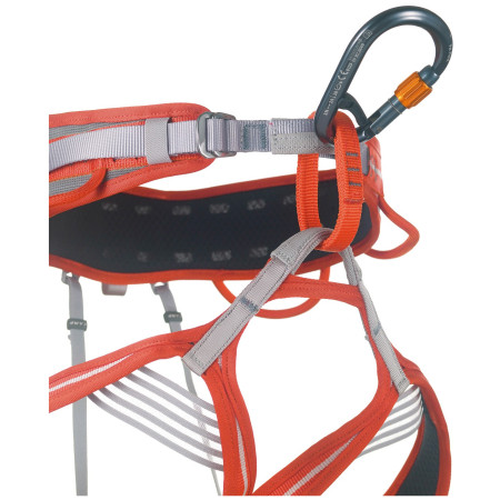 Camp Core Belay Lock karabiner