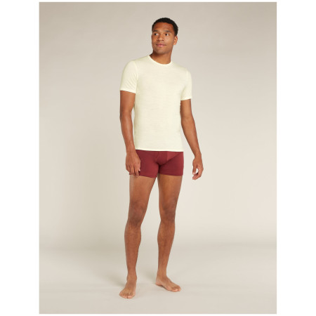 Icebreaker M Anatomica SS Crewe férfi póló