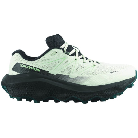 Salomon Ultra Flow 2 Gore-Tex női futócipő