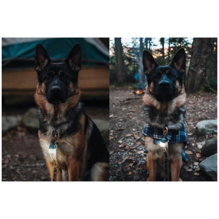 BioLite Site Lights kerékpár lámpa szett