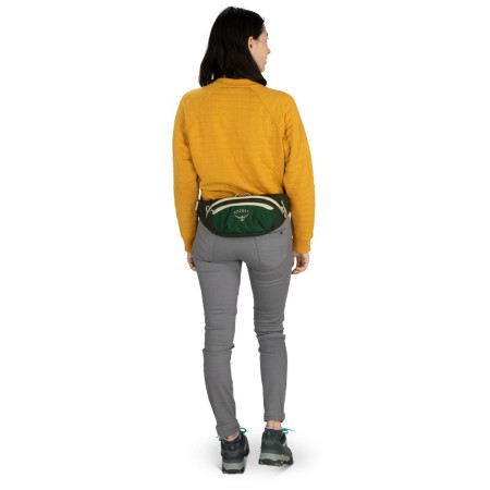 Osprey Daylite Waist Black övtáska