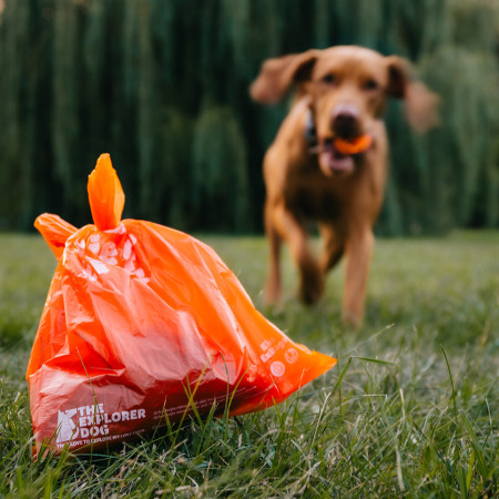 Explorer Dog Eko Exbags 60 ks kutyapiszok‑gyűjtő zacskó