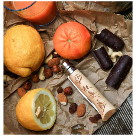 Opinel Vri N°8 Inox Biking kés