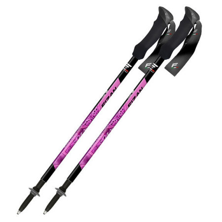 Fizan Compact MS túrabot