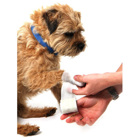 Mountain Paws Dog First Aid Kit elsősegélycsomag kutyáknak