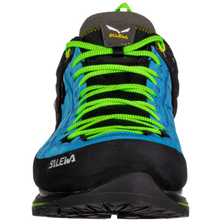 Pánské boty Salewa Ms Mtn Trainer 2 Gtx