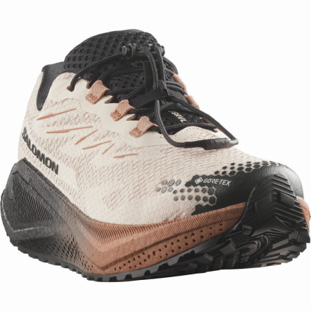 Salomon Aero Blaze 4 Grvl GTX W női futócipő