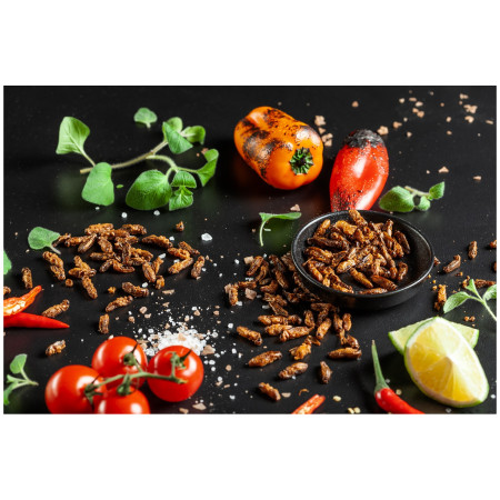 Sens Ropogós & pörkölt tücsök BBQ paprika ehető tücsök