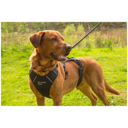 Mountain Paws 3-Strap Dog Harness kutyahám