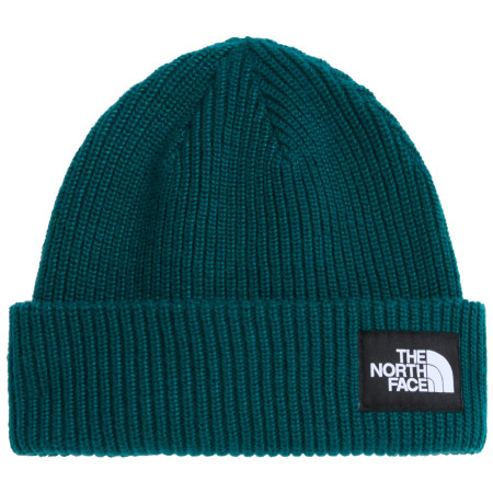 The North Face Salty Lined Beanie sapka