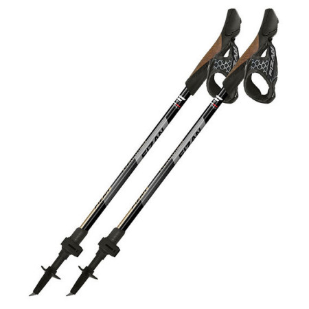 Fizan R-Evolution nordic walking túrabot