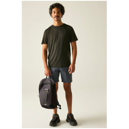 Regatta Fingal Edition férfi póló