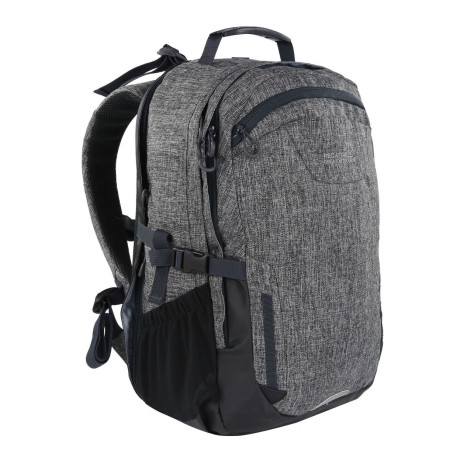 Hátizsák Regatta Cartar 25L szürke