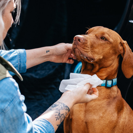 Explorer Dog Természetes nedves törlőkendő kutyáknak, 40 db nedves törlő kutyáknak