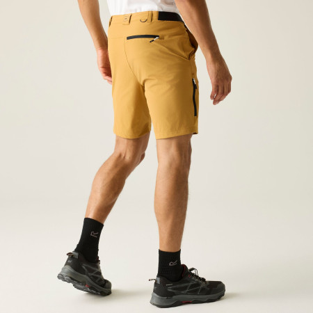 Regatta Anti-Insect Travel Light Shorts férfi rövidnadrág