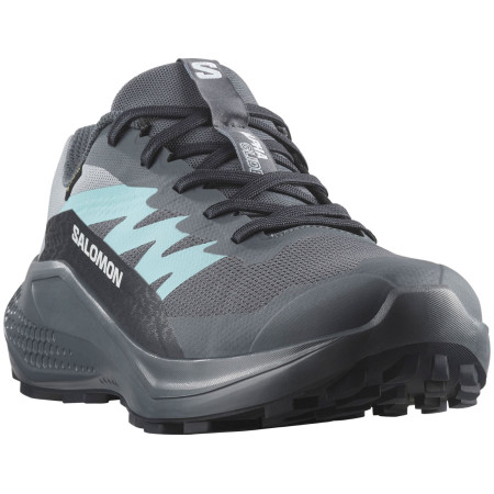 Salomon Alphaglide Gore-Tex női cipő