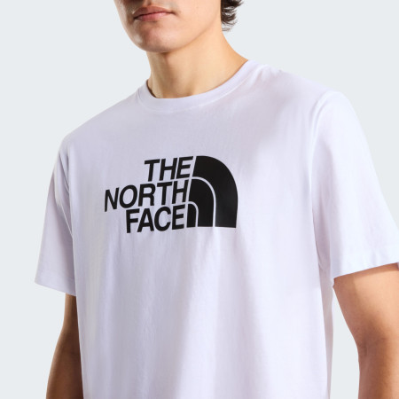 The North Face Evolution Half Dome Regular Short Slee férfi póló