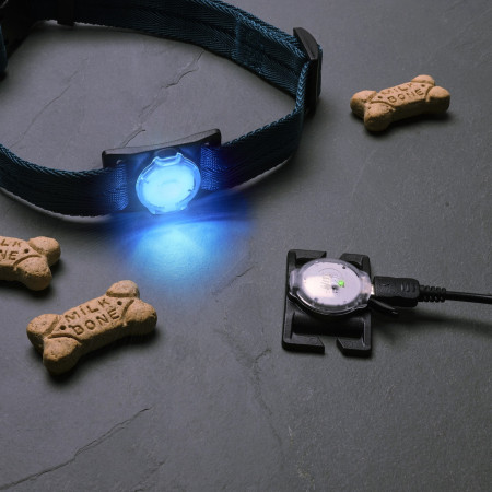 Nite Ize NiteDog™ Rechargeable Pet Light világító kiegészítő kutyára