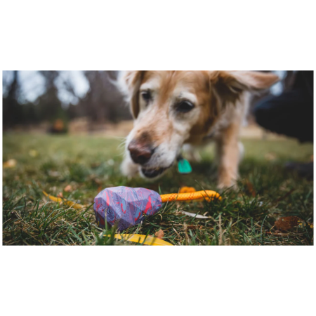 Ruffwear Huck-a-Cone™ Toy játékszer kutyáknak