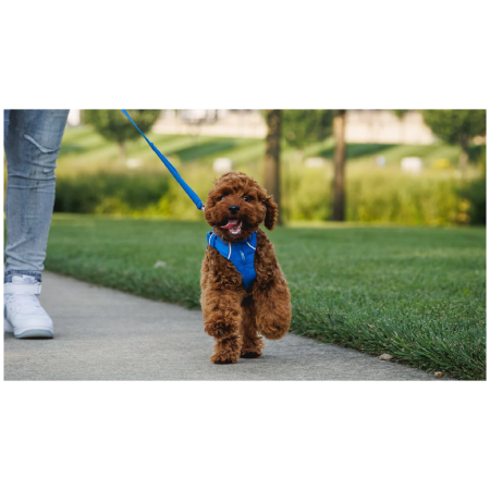 Ruffwear Front Range™ Leash kutyapóráz