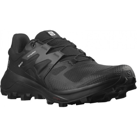 Férficipő Salomon Wildcross 2 Gore-Tex fekete