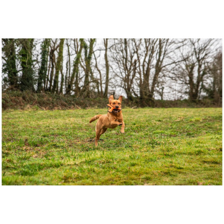 Mountain Paws Rubber Throw Dog Toy játékszer kutyáknak