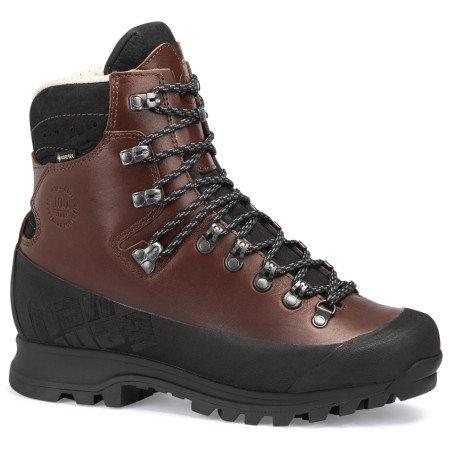 Férfi túracipő Hanwag Alaska 100 GTX barna
