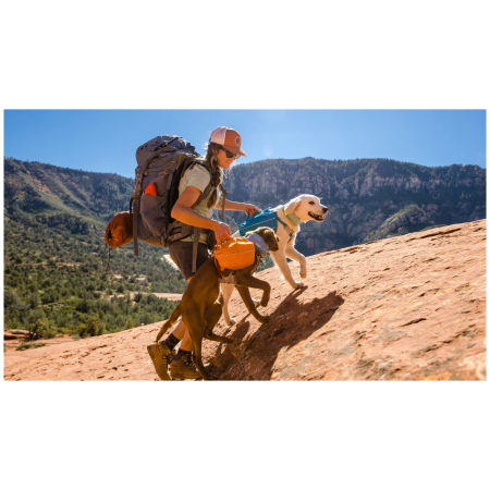 Ruffwear Approach™ Pack kutyaszállító hátizsák