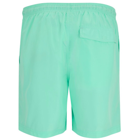 Regatta Mackleyna Swim Short férfi rövidnadrág