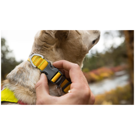 Ruffwear Hi & Light™ Collar kutyanyakörv