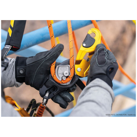 Petzl Rig sífék