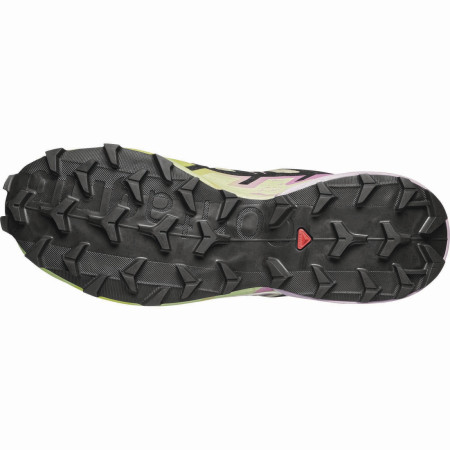 Salomon Speedcross 6 Gore-Tex női cipő