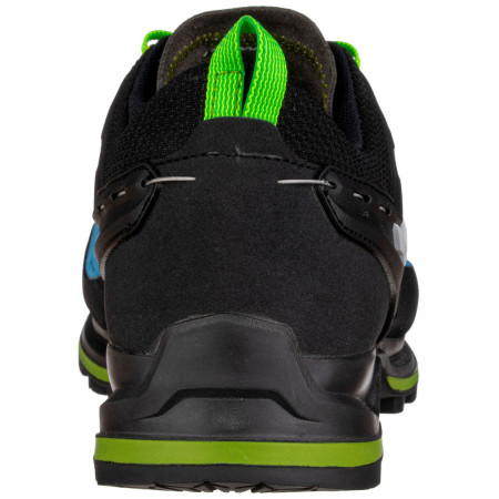 Pánské boty Salewa Ms Mtn Trainer 2 Gtx